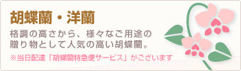 フラワー＆カタログギフト | お花と一緒にカタログギフトをお届け