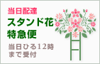 当日配達 | スタンド花特急便
