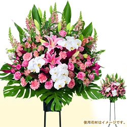 スタンド花お祝い1段（ピンク系） -  スタンド花・花輪（開店祝い・開業祝い）（法人）｜花や花束の宅配・ビジネスギフト・法人向けフラワーギフトなら｜ビジネス花キューピット【公式サイト】