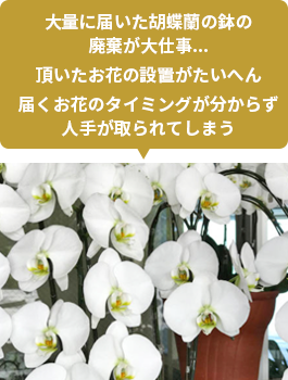 大量に届いた胡蝶蘭の鉢の廃棄が大仕事...頂いたお花の設置がたいへん届くお花のタイミングが分からず人手が取られてしまう