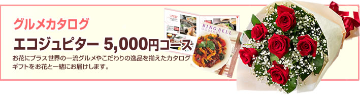 グルメカタログ5000円(法人)