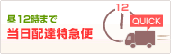 【当日配達特急便】 朝10時までにご注文の花をその日にお届けします