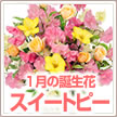 誕生花 1月フラワーギフト