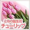 誕生花 ２月フラワーギフト
