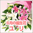 誕生花 ６月フラワーギフト