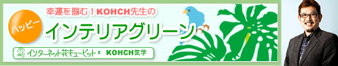 幸運を掴む!KOHCH先生のハッピーインテリアグリーン