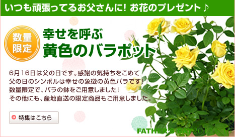 父の日に最適な人気のフラワーギフト特集ギフト・プレゼントなら花キューピットへ