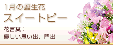 01月の誕生花