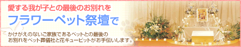 愛する我が子との最後のお別れをフラワーペット祭壇で