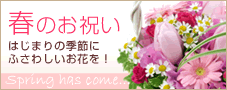 春のお祝い