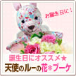 天使のルーの花*はなブーケ