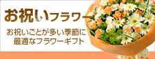 お祝いごとの多い春にお花を贈りましょう