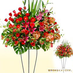 スタンド花(お祝い)フラワーギフト・スタンド花お祝い一段(赤系)