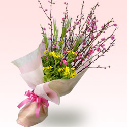 ひな祭りフラワーギフト・桃の花と菜の花の花束