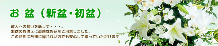 ひまわりギフト特集