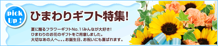 お中元・サマーギフト