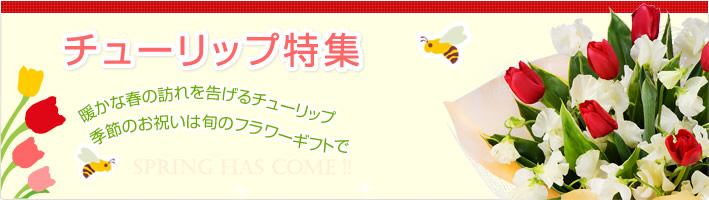 チューリップ特集