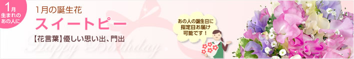 1月の誕生花