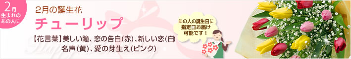 2月の誕生花