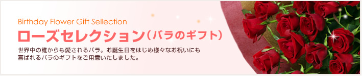 誕生日バラ