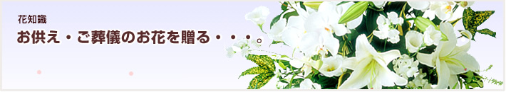 花知識 お花を贈るときの、ちょっとした心遣いをご紹介します。