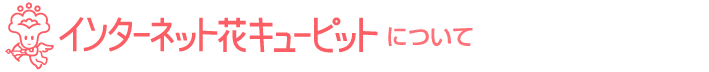 よくあるご質問　お客様から寄せられたご質問を項目ごとにまとめました。