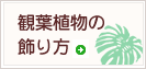 観葉植物の飾り方アドバイス