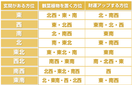 カンタン実践！幸運を掴む！観葉植物の飾り方アドバイス