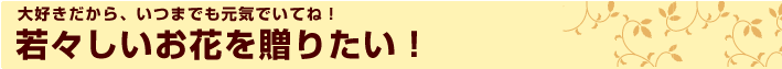 敬老の日　2011年　若々しい花を贈りたい！