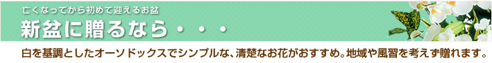 限定商品