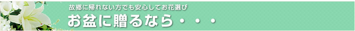 限定商品