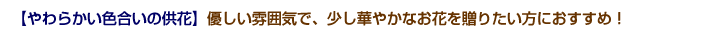 限定商品