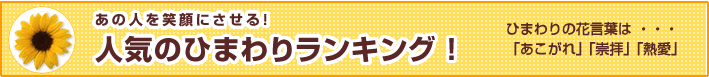限定商品
