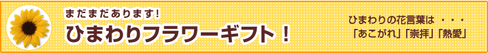 限定商品