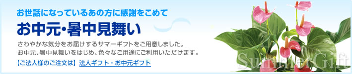お中元・サマーギフト