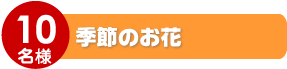 季節のお花