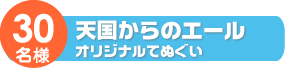 12ヶ月毎月お花が届く！季節のお花プレゼント