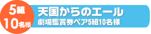 12ヶ月毎月お花が届く！季節のお花プレゼント