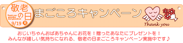 特選ありがとうギフトセット | 一流ホテルから選りすぐり。もっと喜んで欲しいほしいから、お花にプラス！