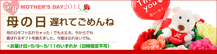 母の日限定フラワーギフト　価格から選ぶギフト　お母さんの好みやイメージにピッタリのお花を贈りましょう