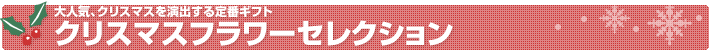 まだまだあります、この季節に人気の鉢物。