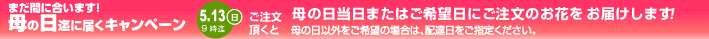 早得キャンペーン 2012 MOTHER DAY | 5.9（水）までにご注文いただくと、母の日当日またはご希望日にご注文のお花をお届けします！