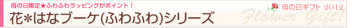 母の日限定★ふわふわラッピングがポイント！花＊はなブーケシリーズ｜2012　母の日ギフト・プレゼント特集