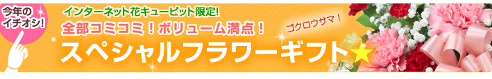 インターネット花キューピット限定!全部コミコミ!ボリューム満点!スペシャルフラワーギフト☆