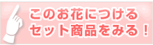 セット商品をみる