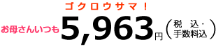 お母さんいつも5,963円(税込・手数料込)
