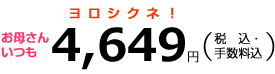 お母さんこれからも4,649円(税込・手数料込)