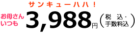 お母さんいつも3,988円(税込・手数料込)