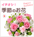 イチオシ！季節のお花