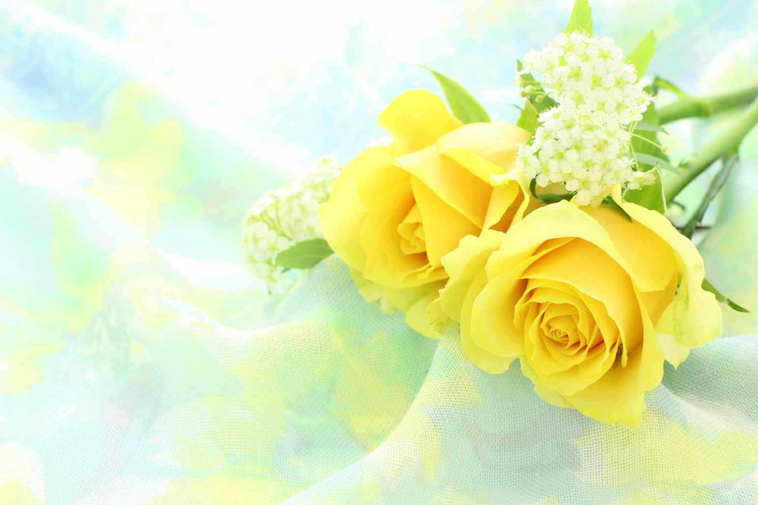 父の日プレゼントとして大人気 バラの花束の上手な飾り方 花や花束の宅配 フラワーギフト通販なら花キューピット 贈り物 プレゼントで花を贈ろう